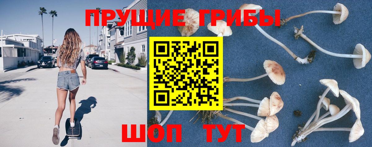 дарнет шоп  Галлюциногенные грибы прущие грибы  Вход с VPN  Казань 